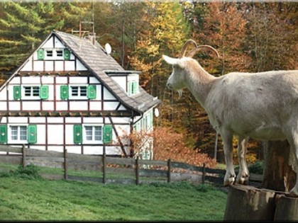 Фото: Bergische Schweiz